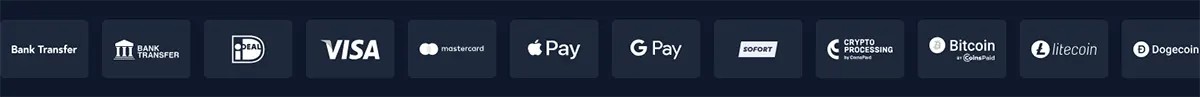 Payment methods bar displaying Bank Transfer, iDEAL, Visa, Mastercard, Apple Pay, Google Pay, Sofort, crypto processing, Bitcoin, Litecoin, and Dogecoin icons on a dark background.